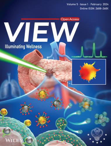 Inside Front Cover: Advancements in SERS-based biological detection and its application and perspectives in pancreatic cancer (View 1/2024)