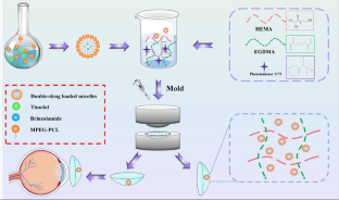 Co-delivery of Brinzolamide and Timolol from Micelles-laden Contact Lenses: In vitro and In Vivo Evaluation.