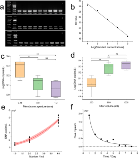 Development and Testing of Species-Specific Primers for Detecting the Presence of the Northern Pacific Sea Star (Asterias amurensis) from Environmental DNA