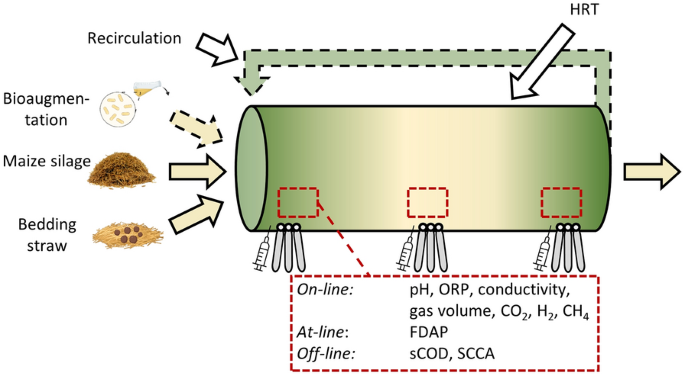 Spatial monitoring of hydrolysis in a plug-flow bioreactor: a support for flexible operation?