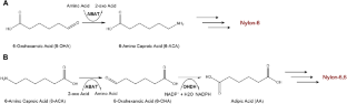 Enzymatic synthesis of nylon precursors by 4-aminobutyrate aminotransferase and 6-oxohexanoate dehydrogenase