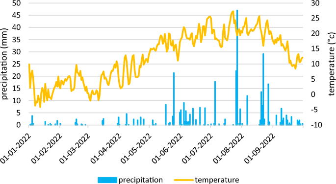 Monitoring Drought Tolerance Mechanisms of Sorghum and Maize Under Unevenly Distributed Precipitation