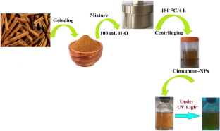 Biochemical, structural characterization and assessing the biological effects of cinnamon nanoparticles