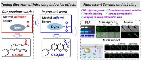 Electron-withdrawing inductive effects enhanced strategy for protein thiol sensing and blocking agent design