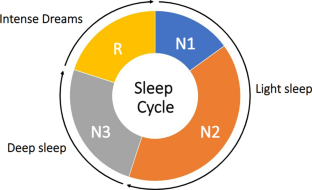 EEGNet classification of sleep EEG for individual specialization based on data augmentation