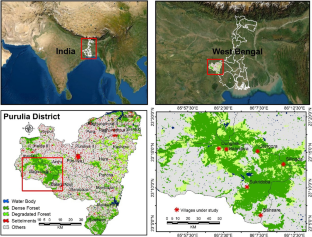 Community forest dependency: re-examining established thoughts with empirical evidence from Eastern India