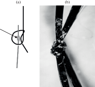 Heat Resistance of Adhesive Joints of Heterocyclic Aramid Fibers under Static Load