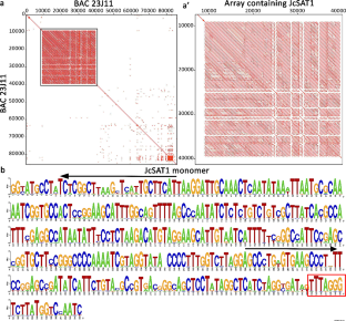 Differential amplification of the subtelomeric satellite DNA JcSAT1 in the genus Jatropha L. (Euphorbiaceae).