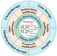 Blood–brain barrier-crossing dendrimers for glioma theranostics