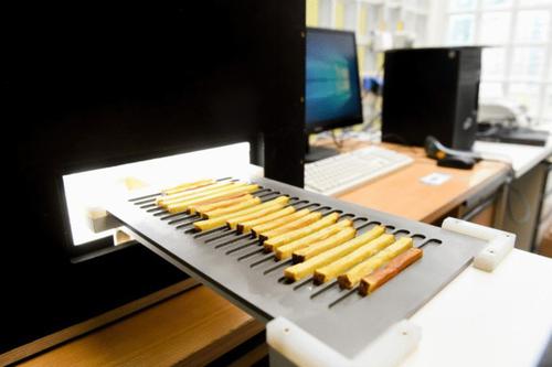 Development and Validation of an Optoelectronic Method for the Assessment of Frying Colours of French Fries Based on RGB Colour Values