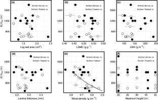 Different predictions of traits on elevational distribution of Fagaceae species between ever-wet and seasonally dry regions in Southeast Asia