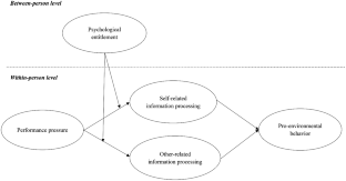 Understanding the effects of performance pressure on fluctuations in pro-environmental behavior: a threat rigidity perspective