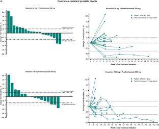 CXCR2 antagonist navarixin in combination with pembrolizumab in select advanced solid tumors: a phase 2 randomized trial.