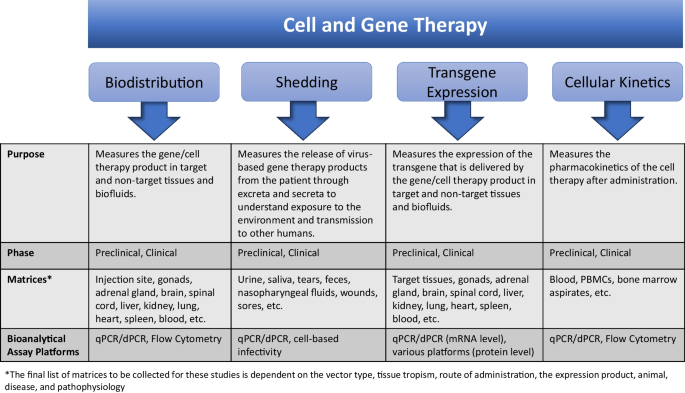 Recommendations for Method Development and Validation of qPCR and dPCR Assays in Support of Cell and Gene Therapy Drug Development.