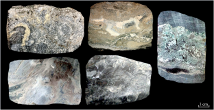 The Geochemical Features of Microbial Carbonates of the Abalak and Georgian Formations in Western Siberia