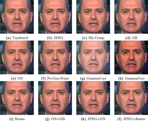 Assessment framework for deepfake detection in real-world situations