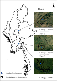 GPS tracking reveals home range and habitat preference of semi-captive elephants in Myanmar