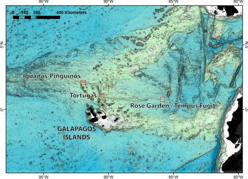 Hydrothermal vent fauna of the Galápagos Rift: updated species list with new records