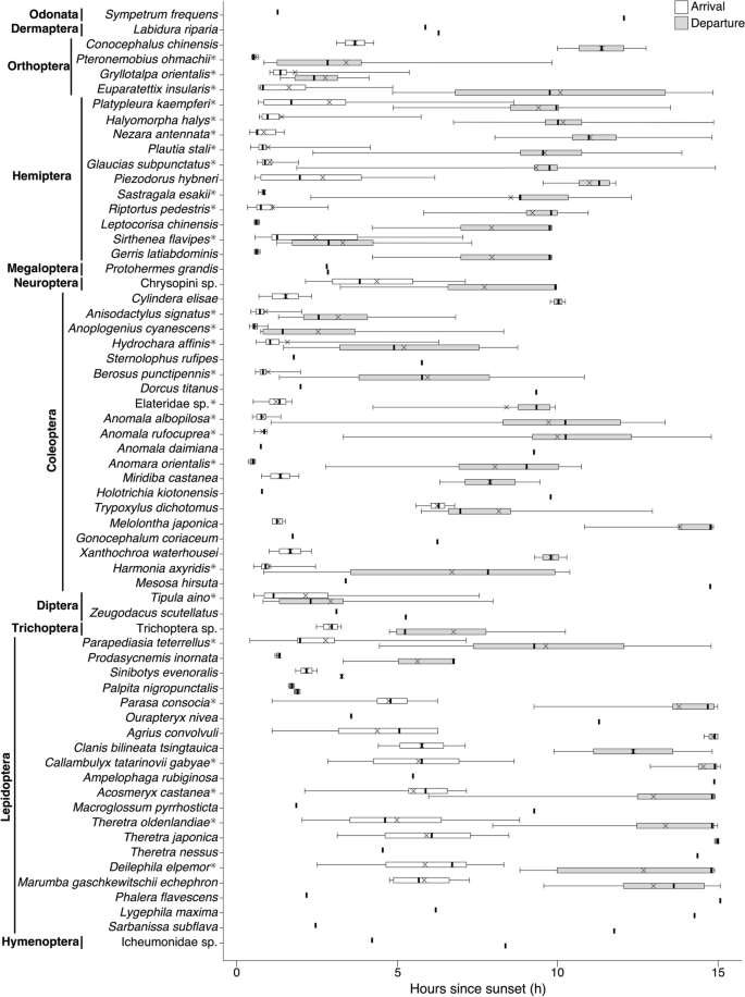 Effects of artificial light on the arrival time, duration of stay, and departure time of nocturnal flying insects