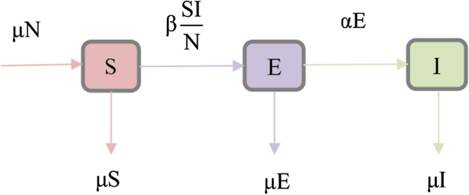 Susceptible-Exposed-Infectious Model Using Markov Chains