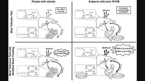 Vagal activation alters prandial bile acid composition and glycemia in patients with hypoglycemia after Roux-en-Y gastric bypass surgery.