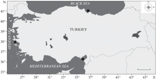 Otolith Shape Analysis of Red Mullet, Mullus barbatus (Mullidae) in Turkish Waters of the Aegean, Black, and Mediterranean Seas