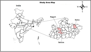 Developing a composite weighted indicator-based index for monitoring and evaluating climate-smart agriculture in India