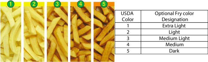 New Potato Varieties Resistant to Late Blight and with High Quality for French Fries Generated in Peru