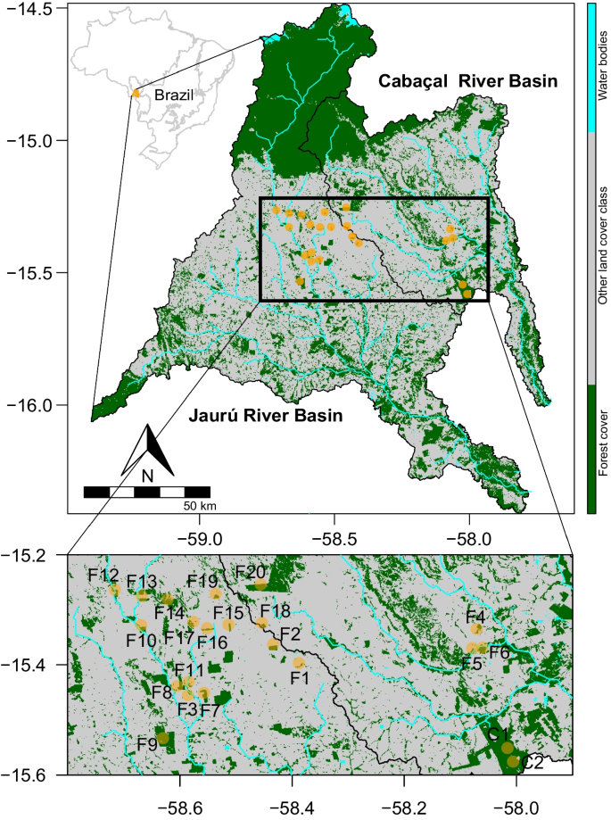 Drivers of functional diversity in small-bodied mammals across a deforestation frontier in the Southern Brazilian Amazon