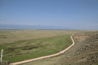 Assemblages of the Heteropterans and Weevils (Heteroptera; Coleoptera, Curculionidae) in the Petrophytic Steppe of the Barguzinskaya Depression, Buryatia