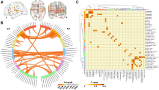 Uncovering brain functional connectivity disruption patterns of lung cancer-related pain.