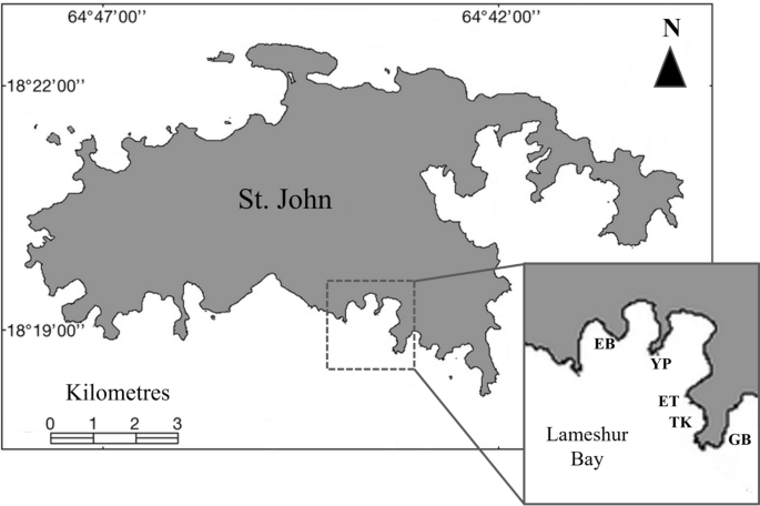 The recovery of octocoral populations following periodic disturbance masks their vulnerability to persistent global change