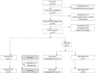 Brain network centrality and connectivity are associated with clinical subtypes and disease progression in Parkinson's disease.