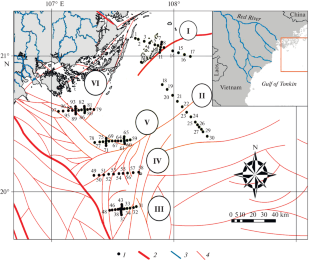 Some Features of Rare-Earth Element Distribution in Surface Sediments of the Bay of Tonkin (South China Sea)