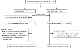 Predictors of Atrial Arrhythmia in Adults with Repaired Tetralogy of Fallot.