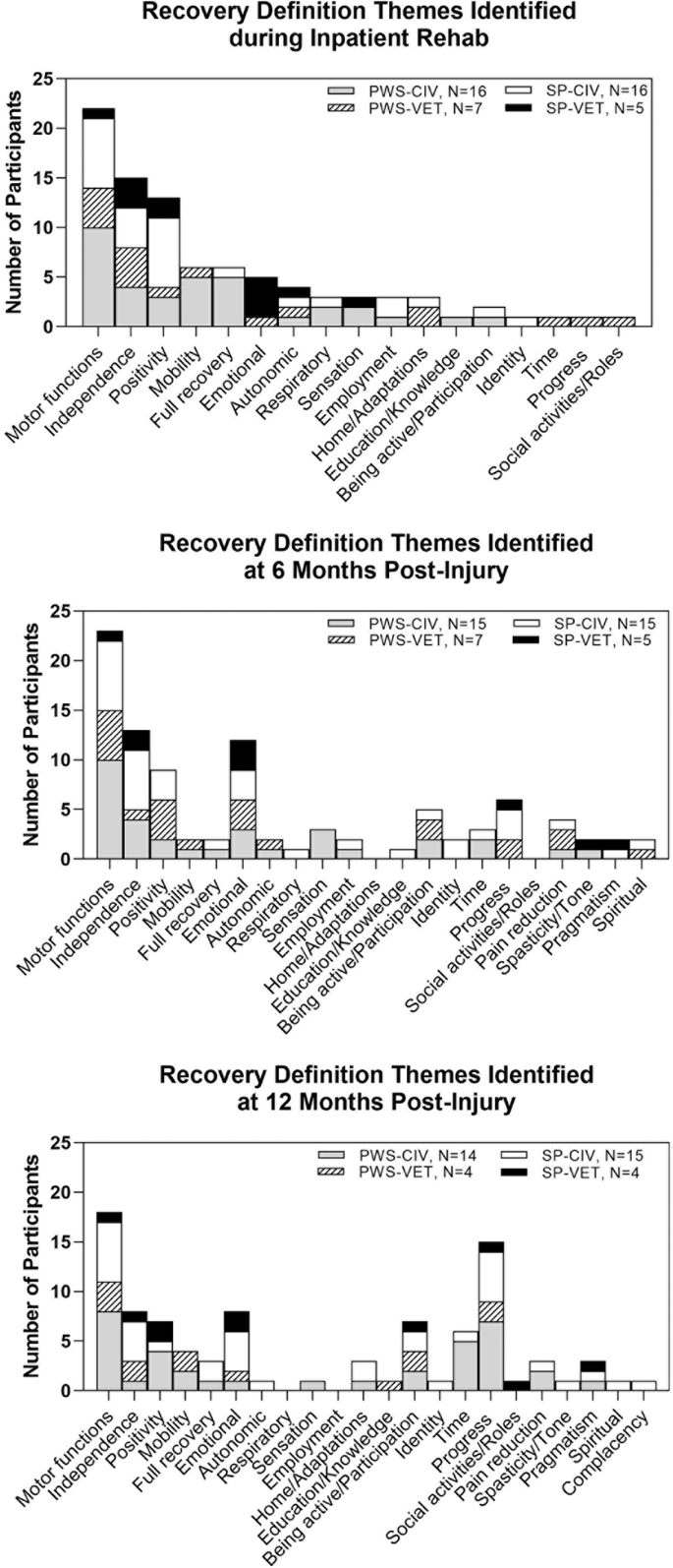 Definitions of recovery and reintegration across the first year: A qualitative study of perspectives of persons with spinal cord injury and caregivers