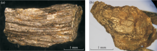 Texture and Structure Features of Yakutites from Placers of the Anabar Diamondiferous Region