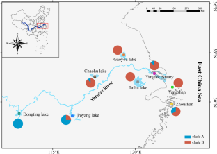 Allopatric divergence contributes to the population differentiation of Coilia nasus in the upper reach of Yangtze River