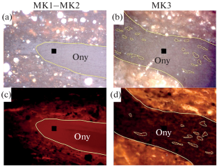 The Evolution of Bioclasts during Catagenesis in Rocks of the Bazhenov Formation in the Territory of the Frolov Oil and Gas Region