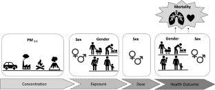 Gender-differentiated impact of PM2.5 exposure on respiratory and cardiovascular mortality: a review