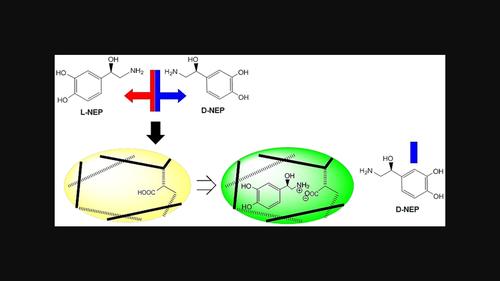 Chiral acidic molecularly imprinted polymer for enantio-separation of norepinephrine racemate