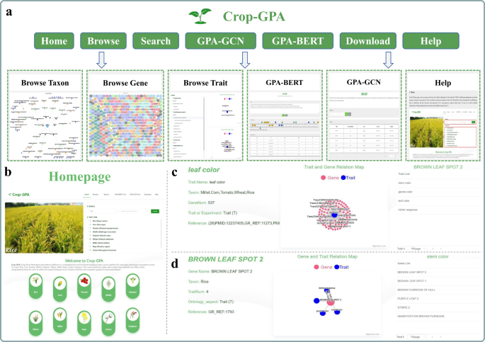 Crop-GPA: an integrated platform of crop gene-phenotype associations.