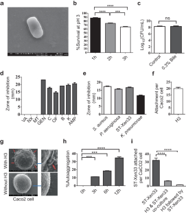 Whole Genome Mining and Characterization of a New Probiotic Strain Levilactobacillus brevis ILSH3 from Handia: An Ethnic Fermented Beverage of Odisha, India.