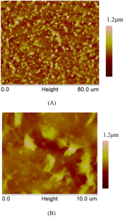 Researching the mineralized deposition of BPEI-MTM and its application in enhancing wellbore stability