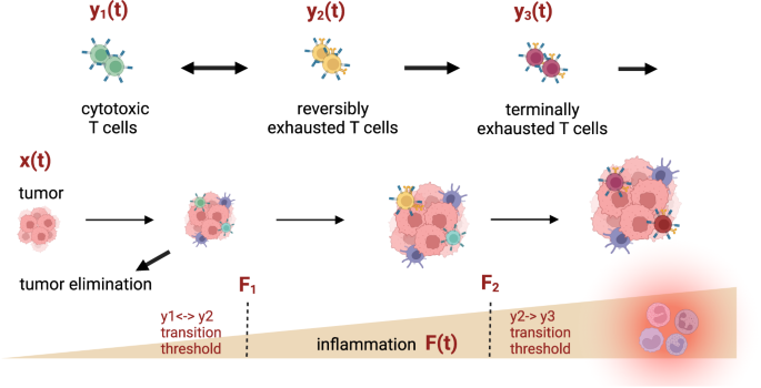 Mitigating non-genetic resistance to checkpoint inhibition based on multiple states of immune exhaustion.