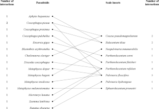 Diversity and interactions of the parasitoids (Hymenoptera: Chalcidoidea) of soft scales from Serbia