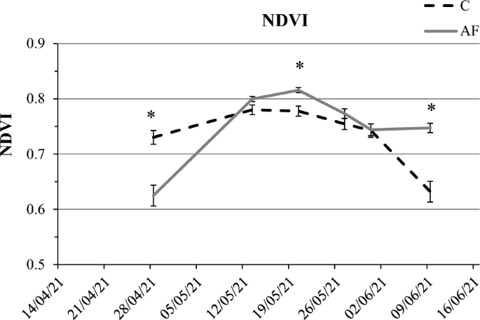 Screening old and modern wheat varieties for shading tolerance within a specialized poplar plantation for agroforestry farming systems implementation