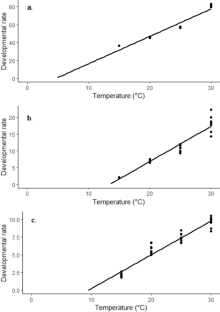 Life-history traits of Dacus frontalis Becker (Diptera: Tephritidae) reared at four constant temperatures