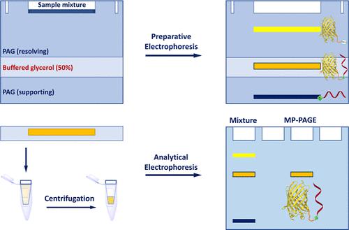 Micropreparative Gel Electrophoresis for Purification of Nanoscale Bioconjugates