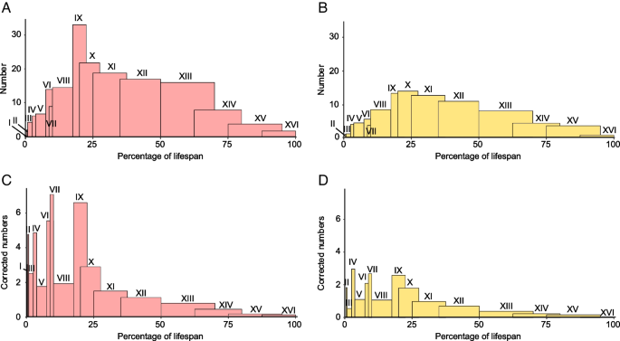 Life in a Central European warm-temperate to subtropical open forest: Paleoecology of the rhinocerotids from Ulm-Westtangente (Aquitanian, Early Miocene, Germany)